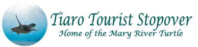 Tiaro Tourist StopOver Logo