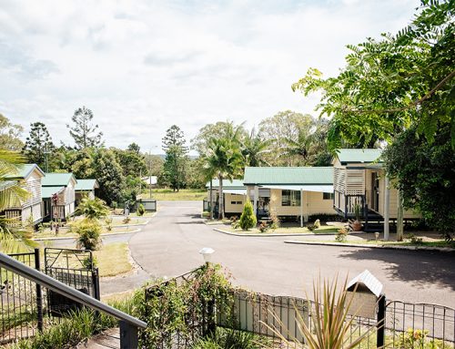 Looking for a Pet Friendly Motel in Maryborough? Why Your Dog Deserves This Cosy Cabin Stay Near Maryborough